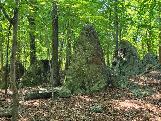 Rock outcrops in a forest in the Piedmont. Rock outcrops are five feet tall, surrounded by green leaf trees, and atop of leaf-covered floor