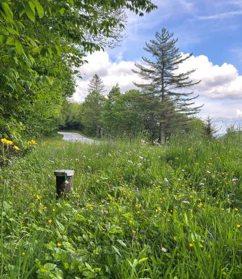 Monitoring well at oconaluftee overlook