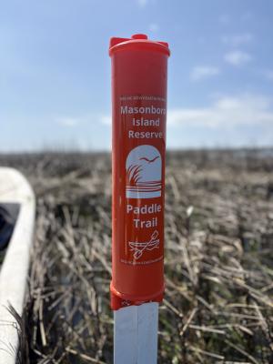 Orange pole marking the masonboro island paddle trail
