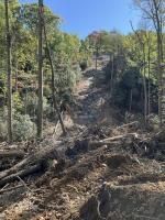 A landslide in western NC showing downed trees and mud