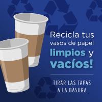 Vasos de papel