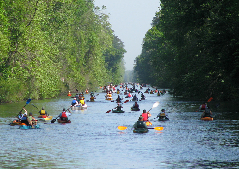 Paddlers at Dismal Swamp State Park