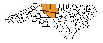 Greensboro Regional Center Counties Served: Alamance, Davidson, Davie, Forsyth, Guilford, Randolph, Rockingham, Stokes, Surry and Yadkin.