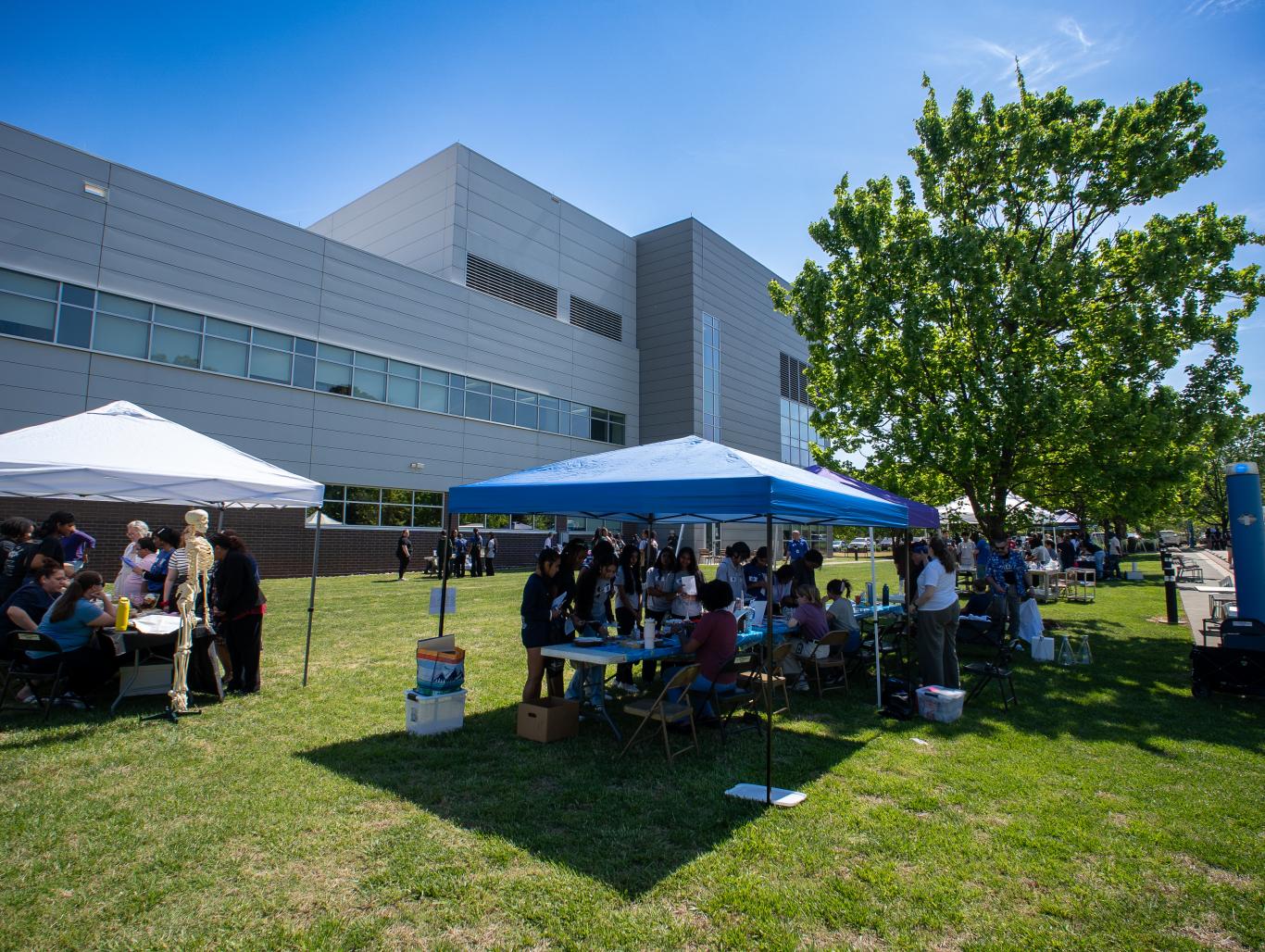 Attendees at 2026 SciFest.