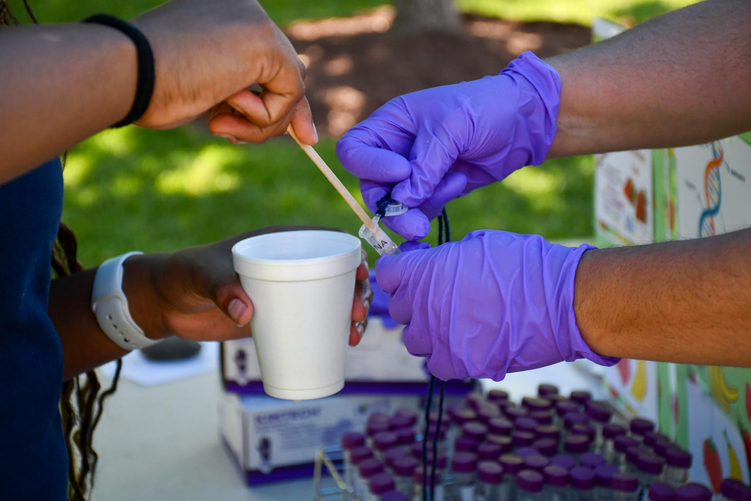 Attendees at 2026 SciFest.