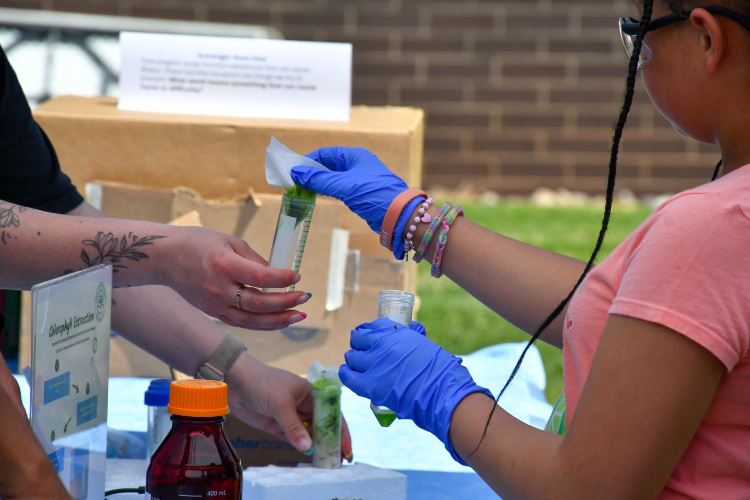 Attendees at 2026 SciFest.