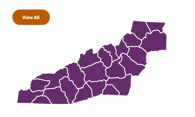 NC Map Mountain region counties shaded deep purple.