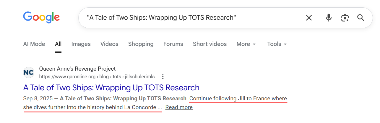 Google search results displaying the deliberate Summary provided for a Blog Entry