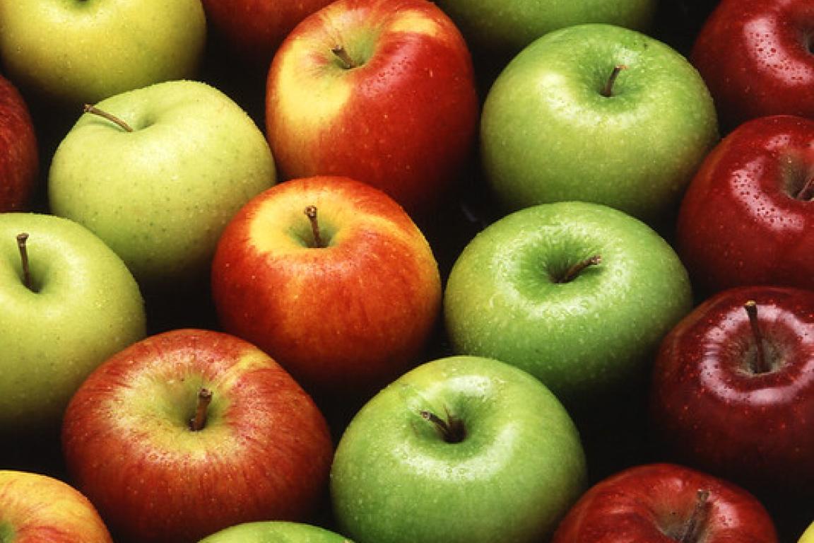 Colorful apple varieties arranged in a curve.
