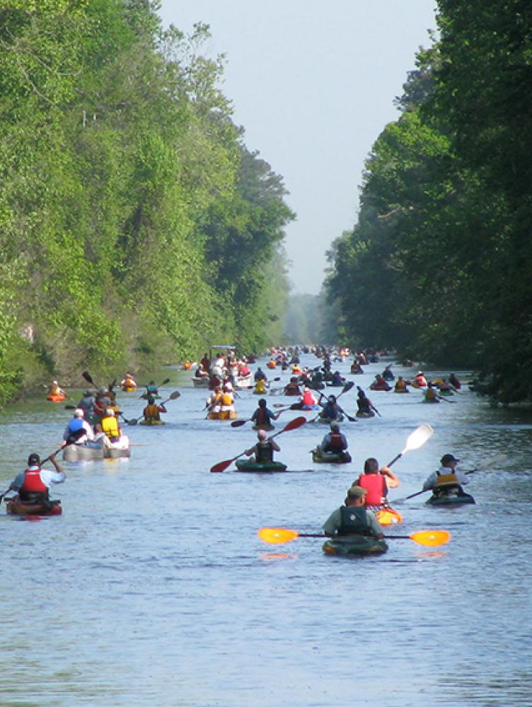 Paddlers at Dismal Swamp State Park