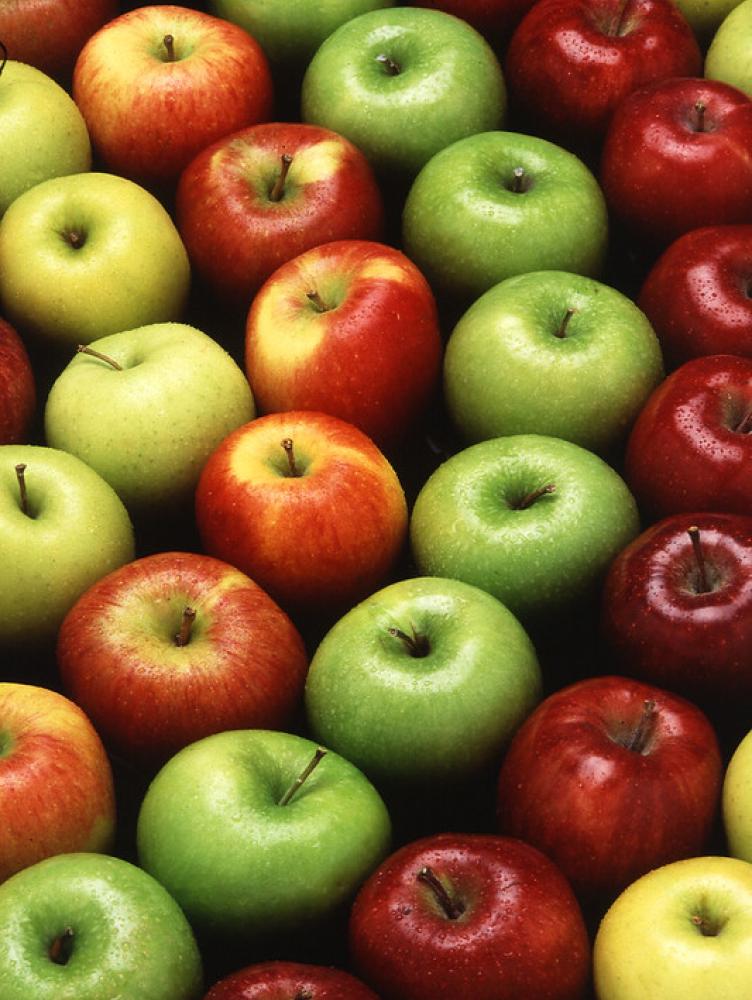 Colorful apple varieties arranged in a curve.