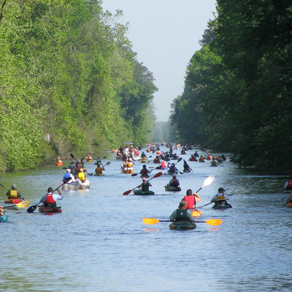 Paddlers at Dismal Swamp State Park