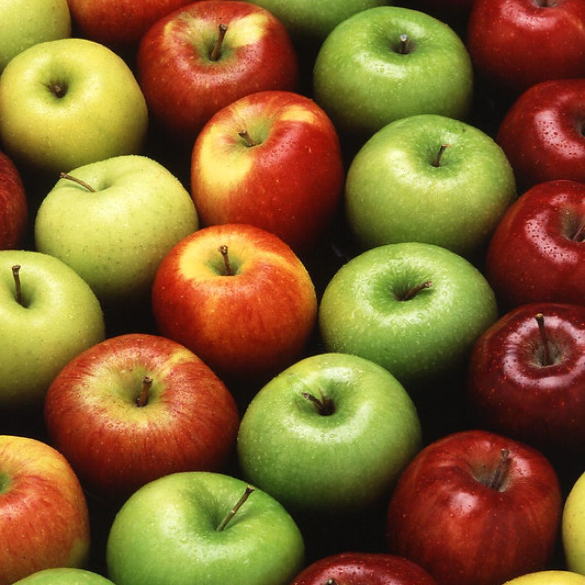 Colorful apple varieties arranged in a curve.