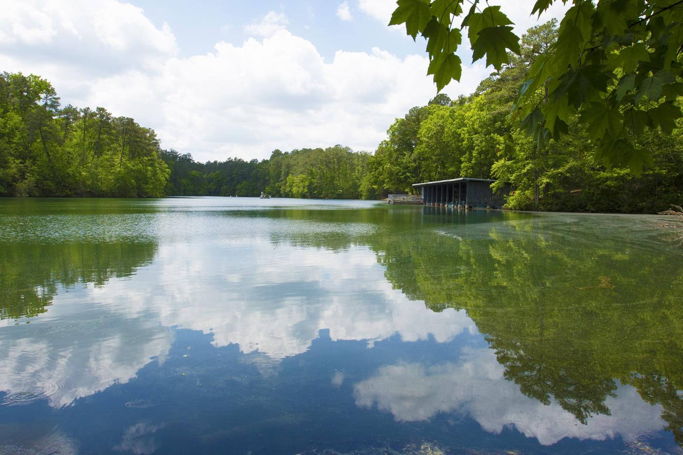 The lake at Cliffs of the Neuse State Park