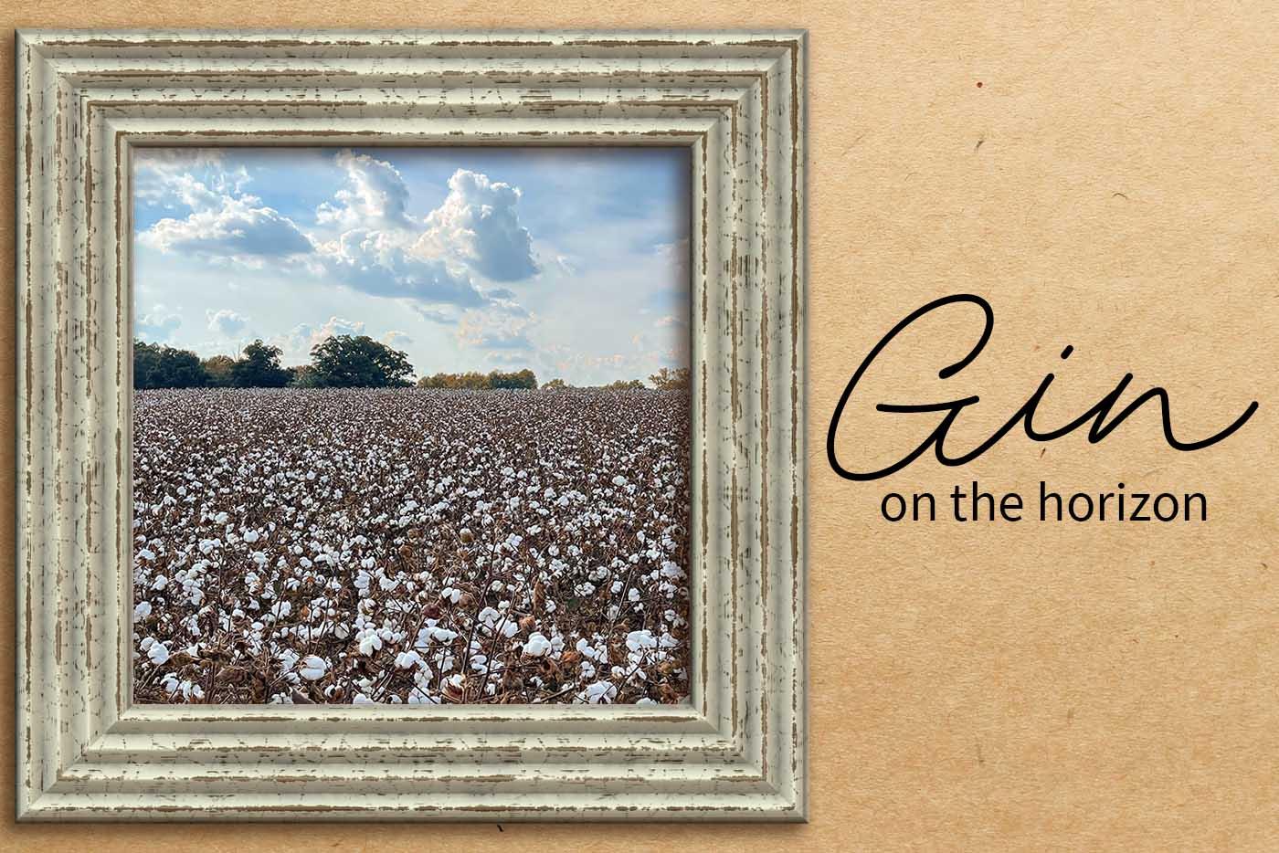 View of the horizon of a cotton field and blue sky with text reading Gin on the horizon.