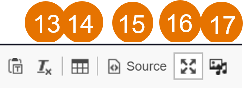 screenshot of Text Editor steps 13-17