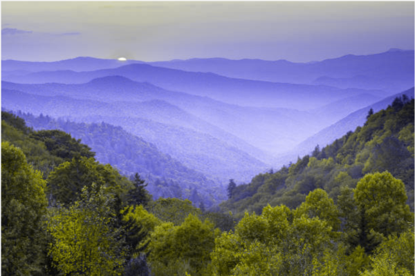 landscape protanopia
