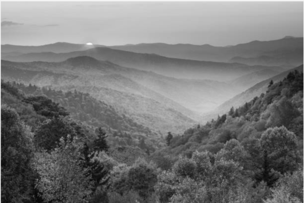 landscape achromatopsia