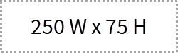 The available space for your logo is 250 pixels wide by 75 pixels high.