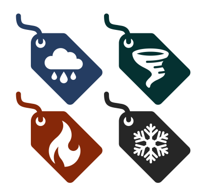 Paper tags with graphics of various weather disasters convey the concept of taxonomy tagging