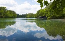 The lake at Cliffs of the Neuse State Park