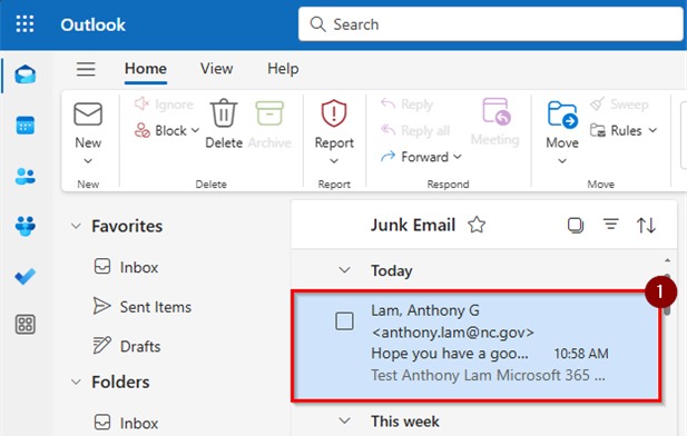 Screen shot of Outlook on the Web Junk email