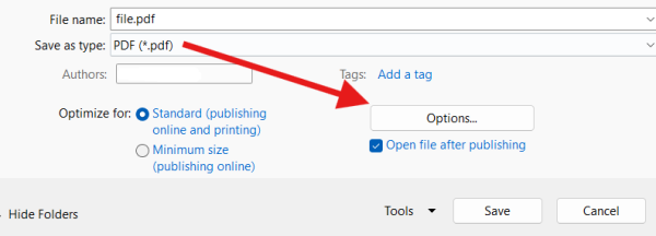 Word Save As PDF Options