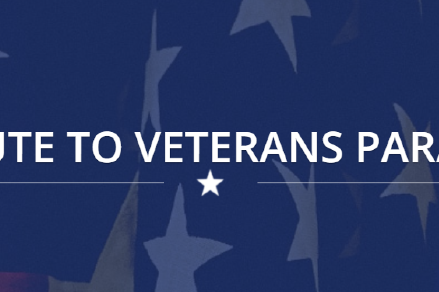 Salute to Veterans Parade Banner