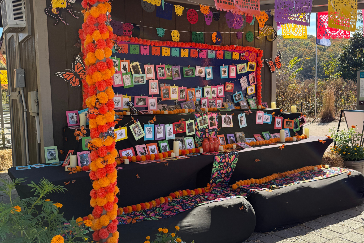 The Ofrenda for Beloved Pets at the NC Zoo