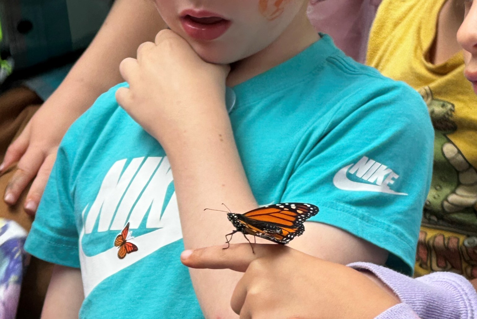 A child holds a monarch butterfly on their finger.