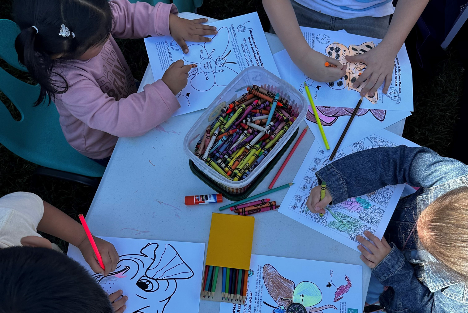 Children color pages from Plotts Tales and Trails