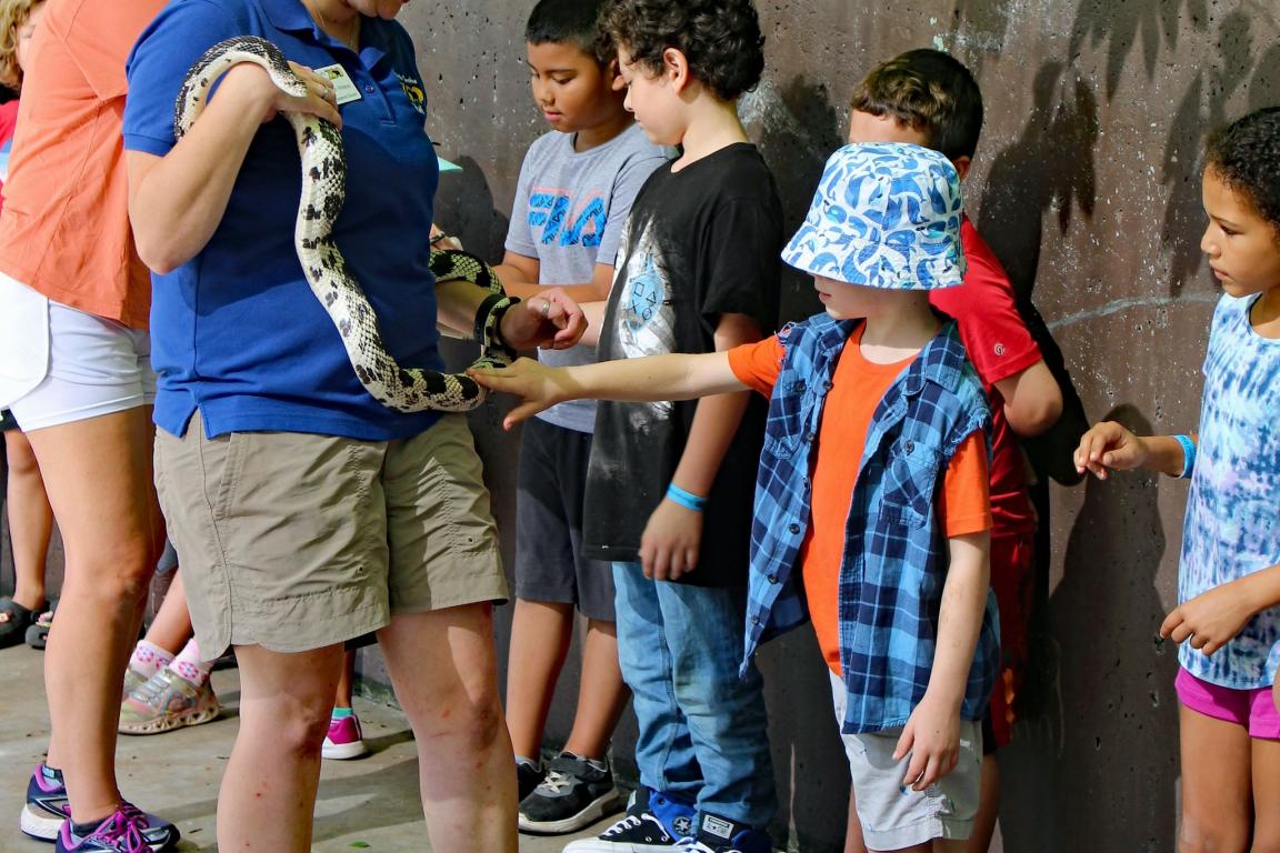 Students touch a snake that a Zoo educator holds.