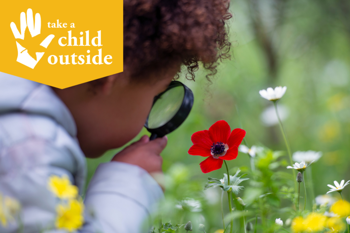 A child studies a flower with a magnify glass.