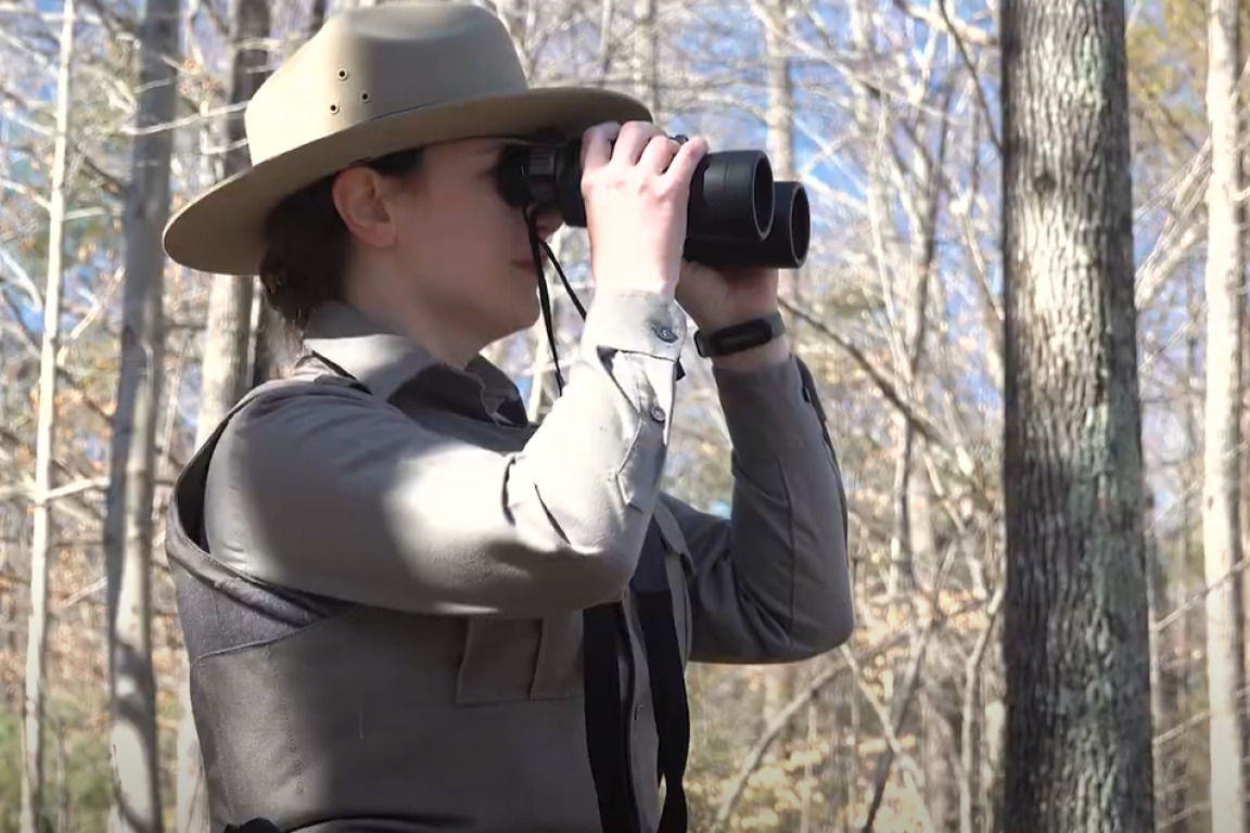 Link, Career Exploration