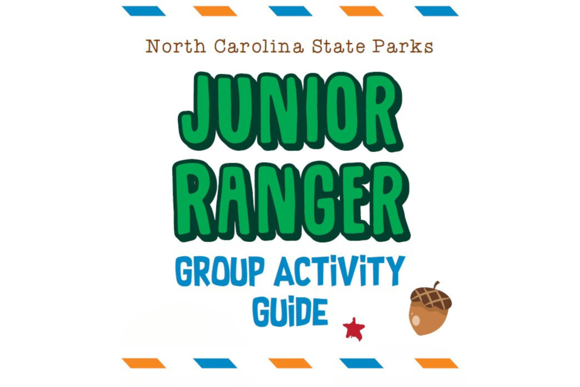 Link, Junior Rangers