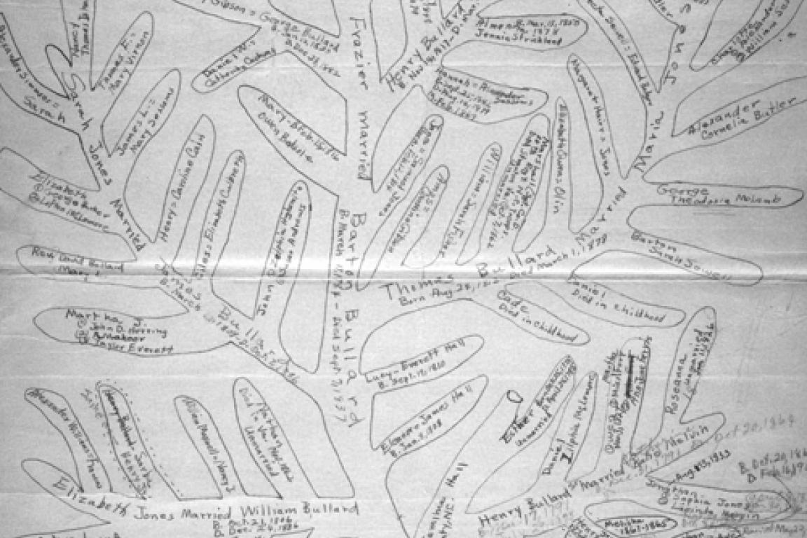 A hand drawn family tree.