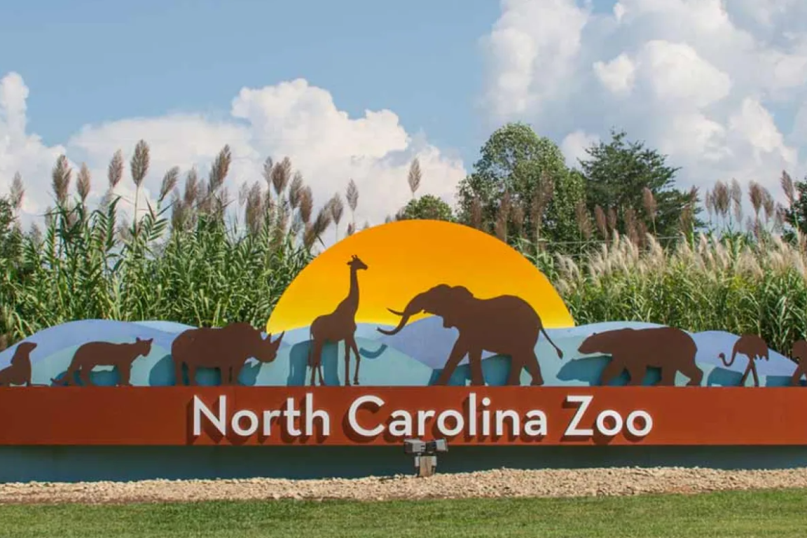 Link, Adult Education at North Carolina Zoo
