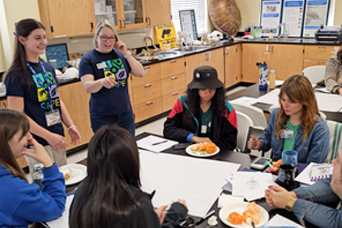 Link, Extracurricular Student Activities