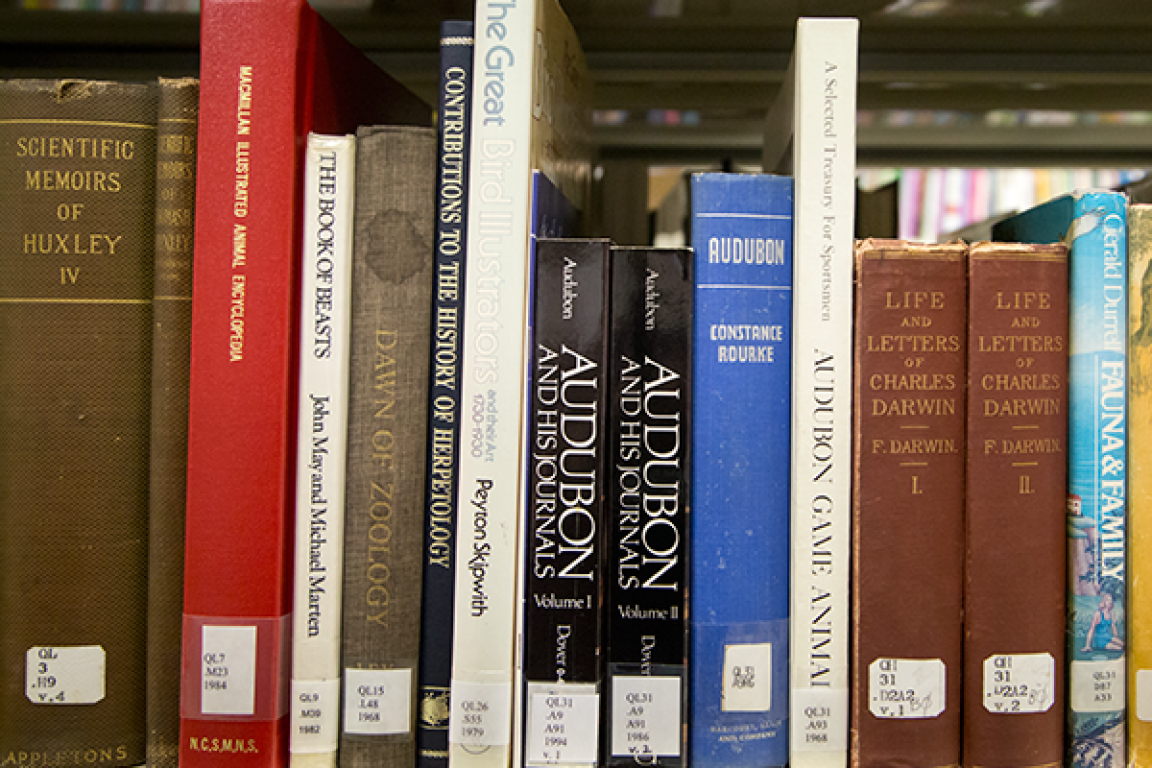 Link, Brimley Library