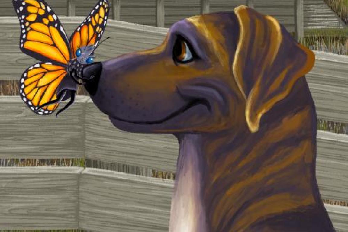 Link, Plott's Tales and Trails