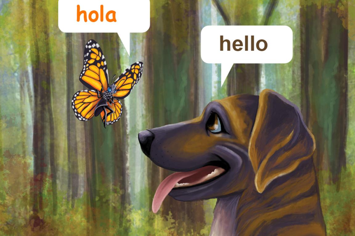 Link, Why Two Languages