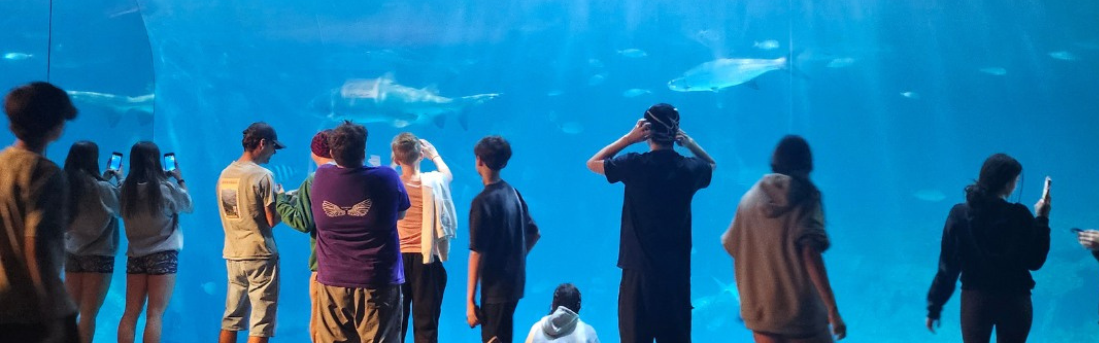 Students stand in front of aquarium tank looking at fish