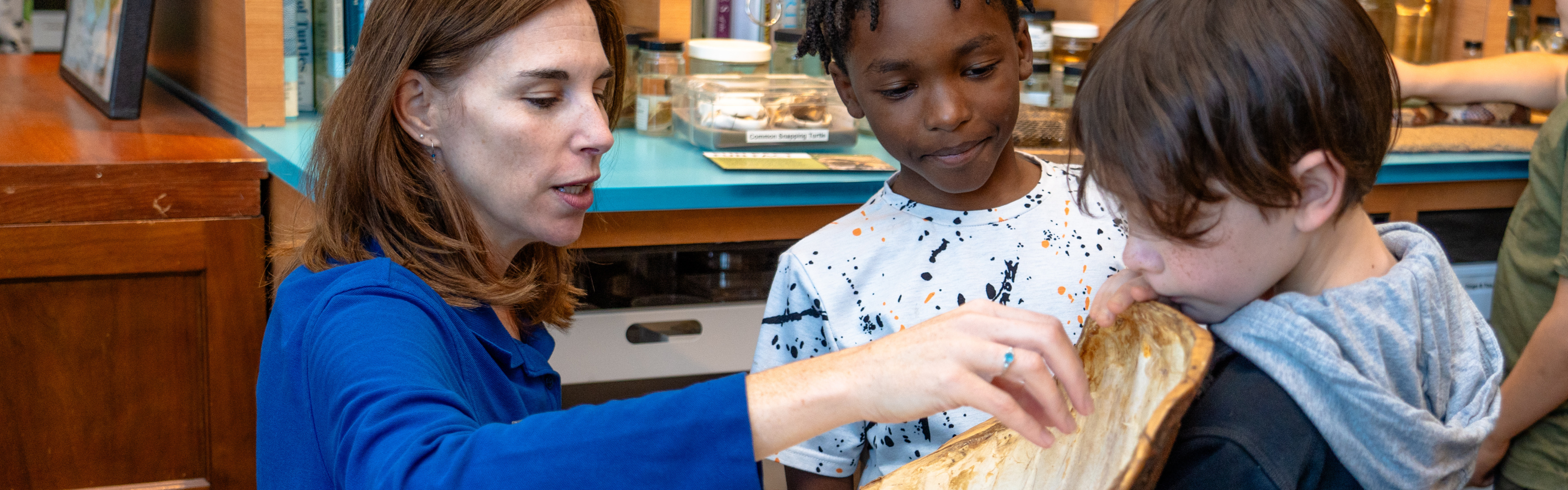 A science museum educator shows a sea turtle shell to two students.