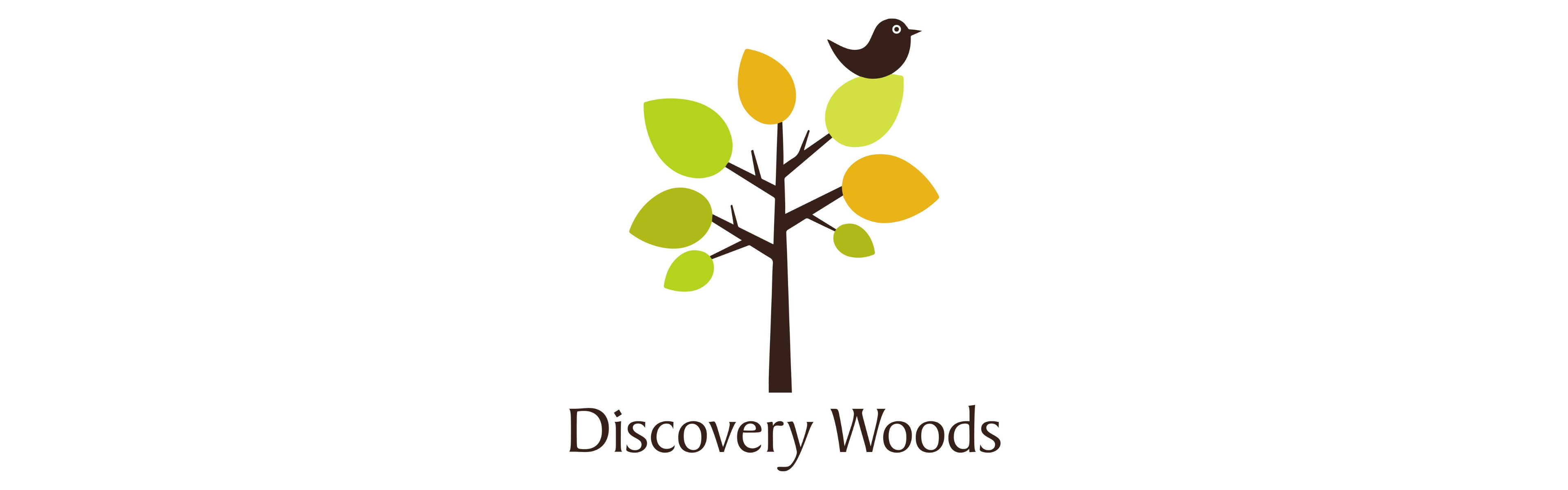 Discovery Woods School
