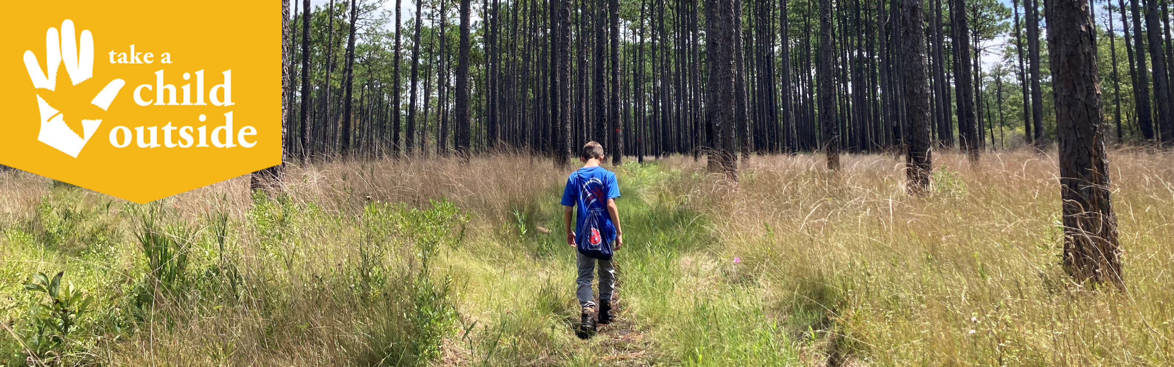 A boy walks along a path in a longleaf pine forest.