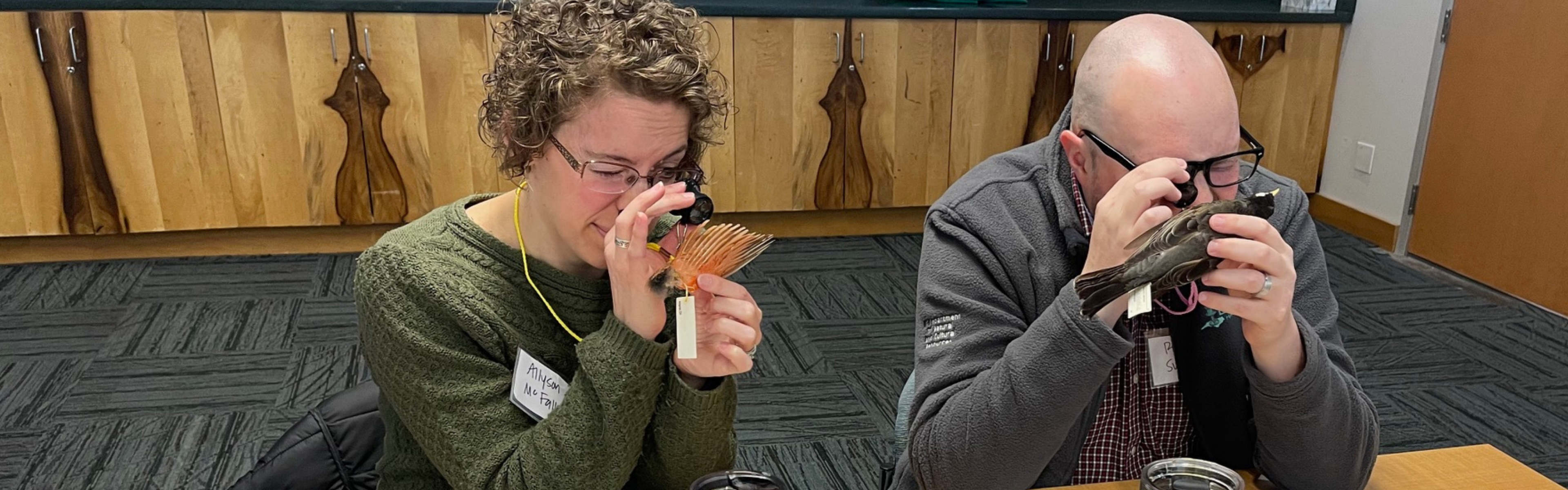 Two teacher ambassadors use magnify glasses to study bird specimens.