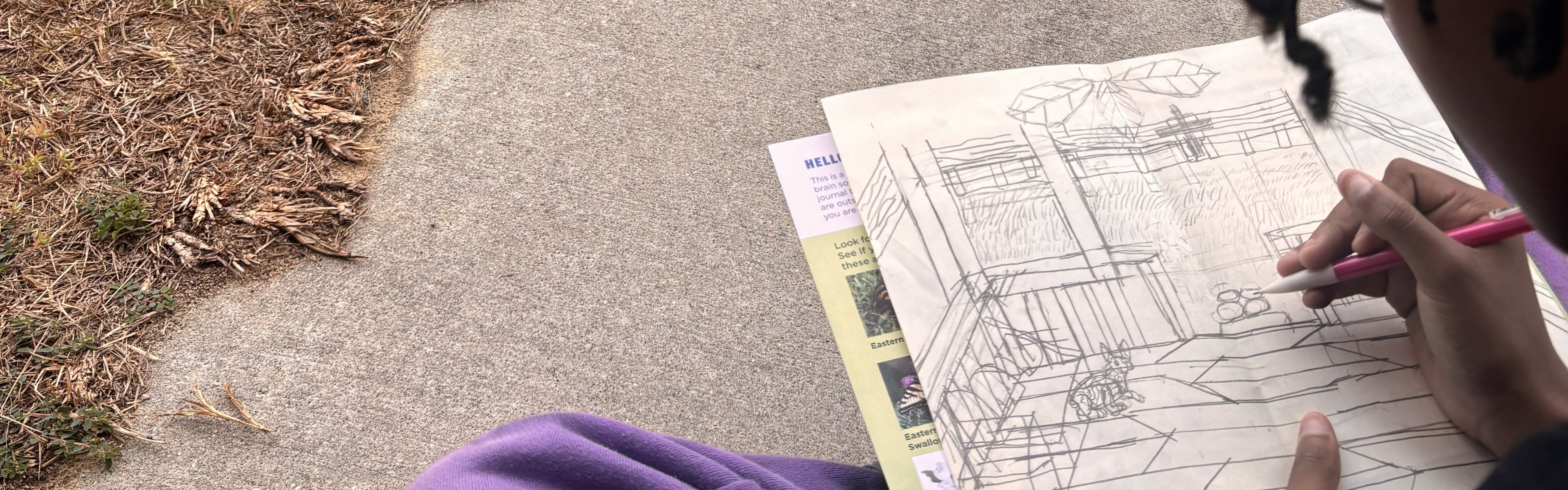 A student sits outside and sketches in her exploration journal.
