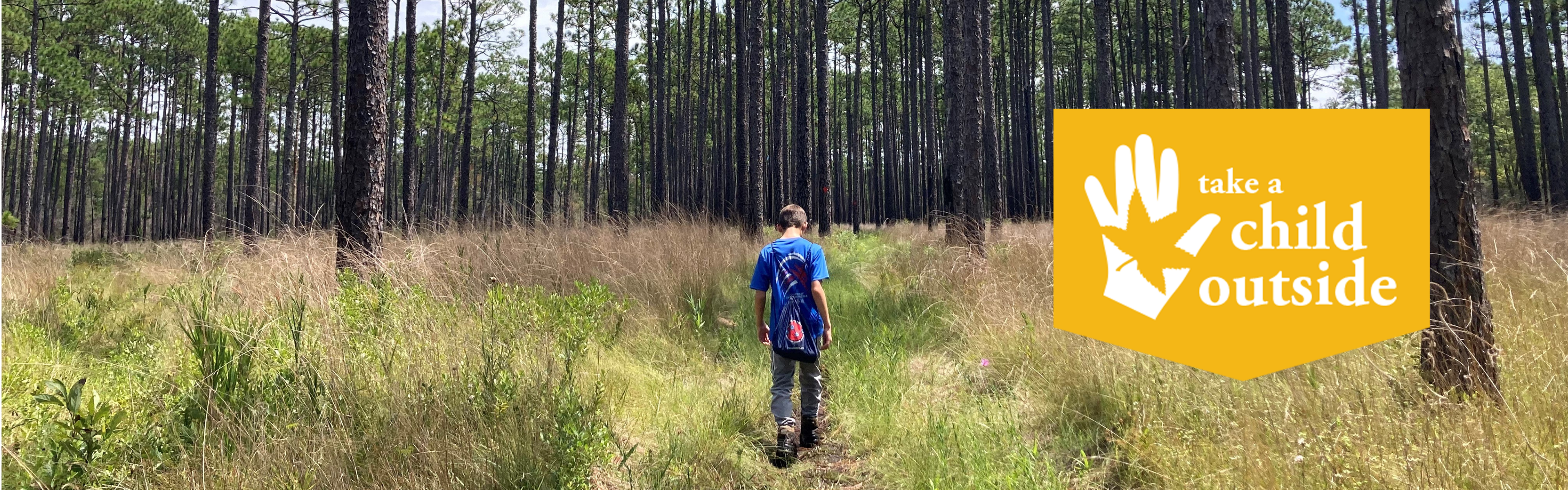 A young boy walks along a train in a longleaf pine forest.