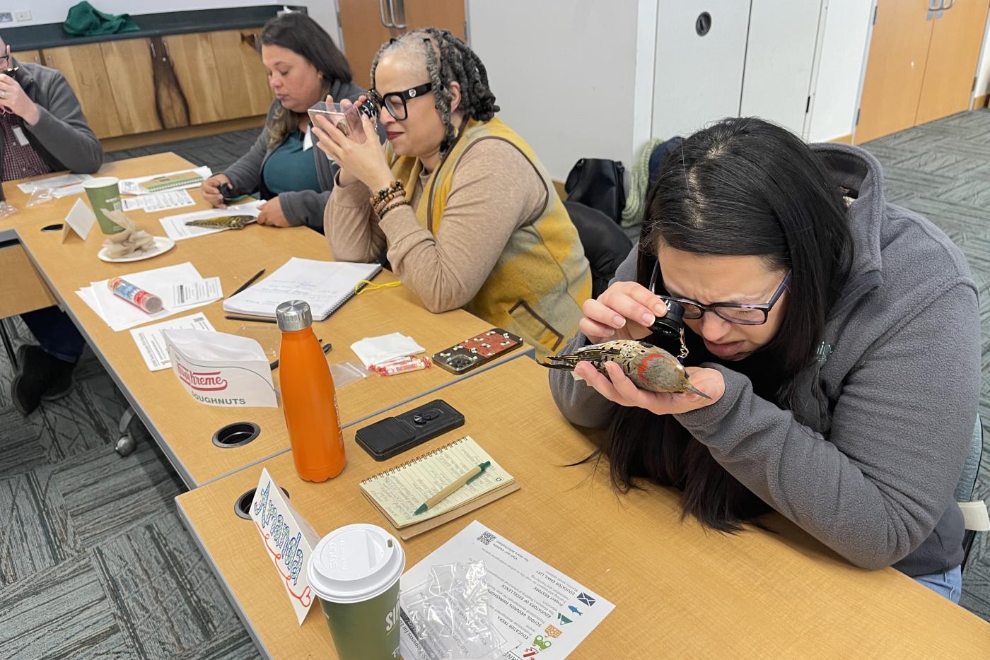teachers look through magnifying glasses at bird feathers