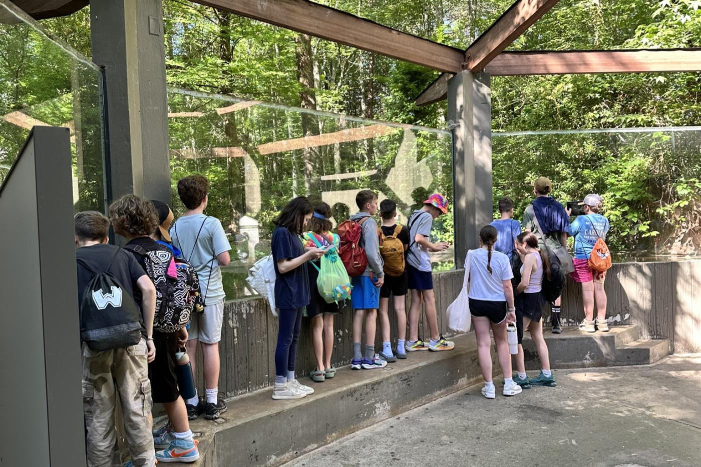 a group of students viewing animals at the NC Zoo